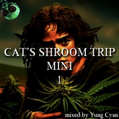 Cat's Shroom Trip Mini -adventures in the konbini- (august 2023 RIDDIM DUBSTEP MIXTAPE)
