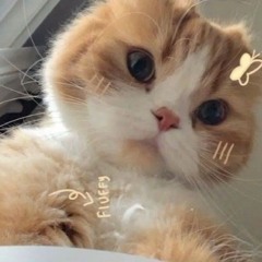 Yêu nhiều ghen nhiều remix