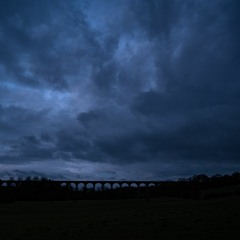 Dawn Chorus Accompaniment