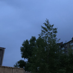 Dino x Tsogt G. dald utga