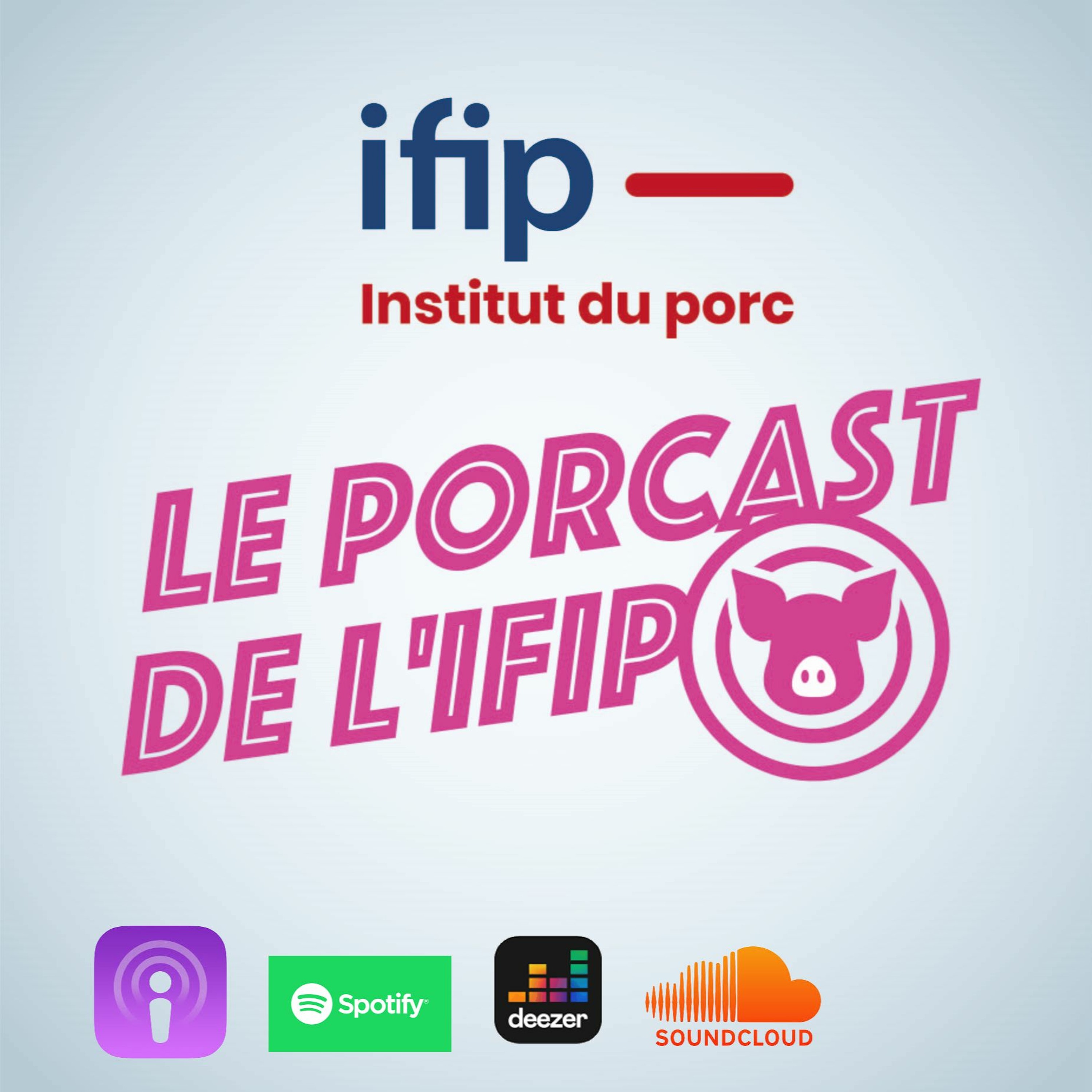 Point sur le prix du porc - MAJ Mai 2023 episode artwork