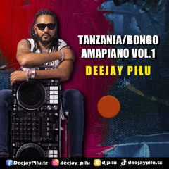 TANZANIA/BONGO AMAPIANO VOL.1-DJ PILU