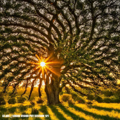 Sound Vision Psy Session 121