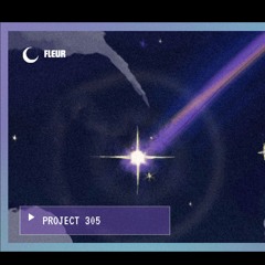 Project 305