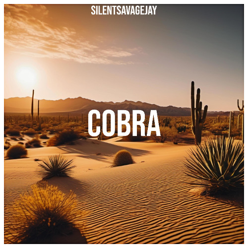 Tragic Story (Prod. SSJ)