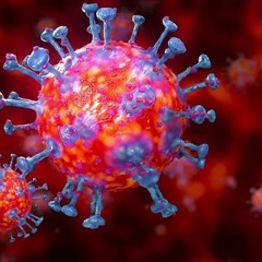 CORONAVIRUS (Covid 19)