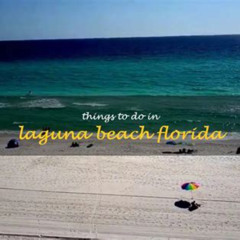 Best Things To Do In Laguna Beach Florida Tours Reviews