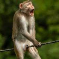 freedom is a highway