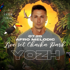 07 Afro Melodic - YOZH - Chaika Park Live set (Esthetica★Project)
