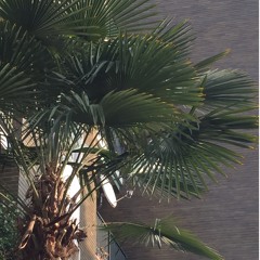 RBL [ live from Imbarchino - Torino ]