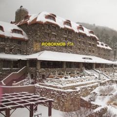 𝑷𝒓𝒆𝒎𝒊𝒆𝒓𝒆: Roboknob – F [MACRO]