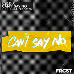 Iceleak - Can't Say No