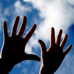 Jack Rippa "Put Your Hands in the Air" (Phidippus YO Remix)