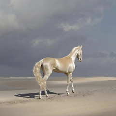 فرس فرس