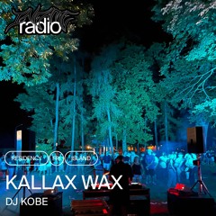 Kallax Wax 008