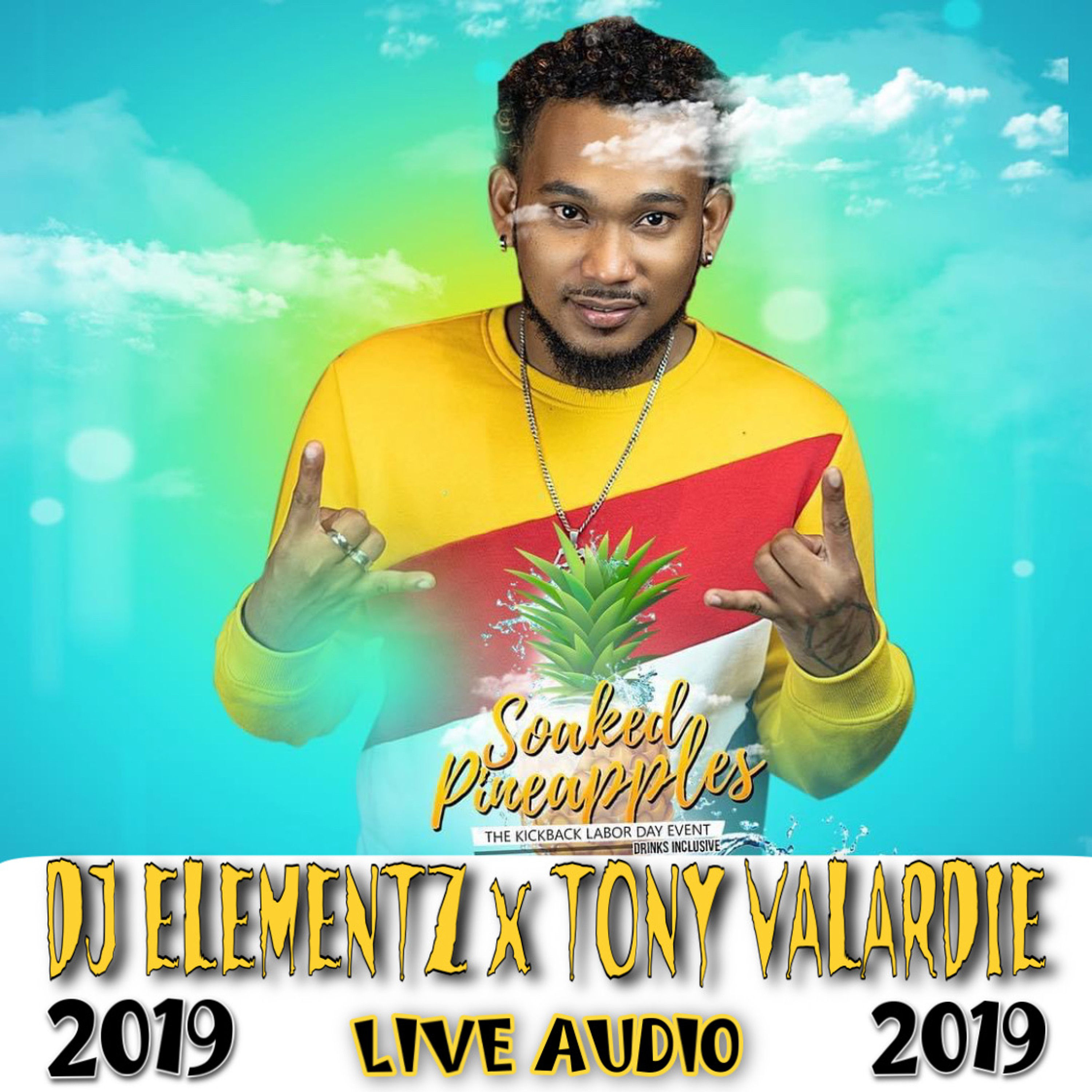 SOAKED PINEAPPLES 2019 ( DJ ELEMENTZ X TONY VALARDIE )