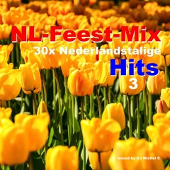 30x Nederlandstalige Hits (oa Ik ben kachel, Vogeltjesdans) In de Mix 2022 #3