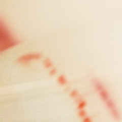 porcelain - dall