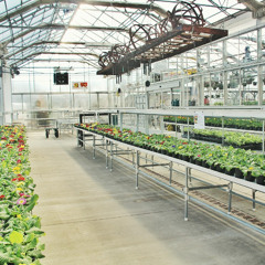 Planting for spring 2026 started at Meadow Croft back in the summer