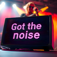 Got the Noise