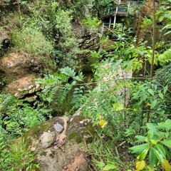 Too Bizarre No Baile Do Sumare