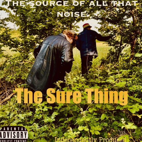 The Source Of All That Noise - The sure thing.