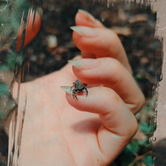 cancer season bass mix