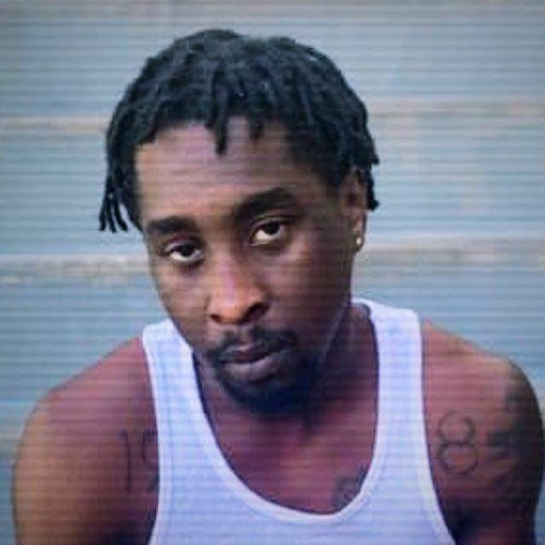 Blue Che Rapper Stream Blue Chee$e - Build a Bitch by Blue Chee$e | Listen online for ...