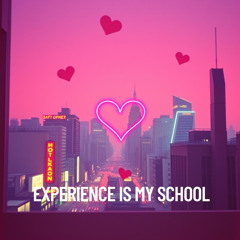 experience is my school