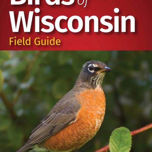 Stream [DOWNLOAD IN PDF] Birds of Wisconsin Field Guide (Bird
