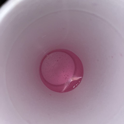 LBG QUES - OUTTA SIGHT