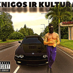 Playah Mane - Knigos ir kultura (prod. Montana)