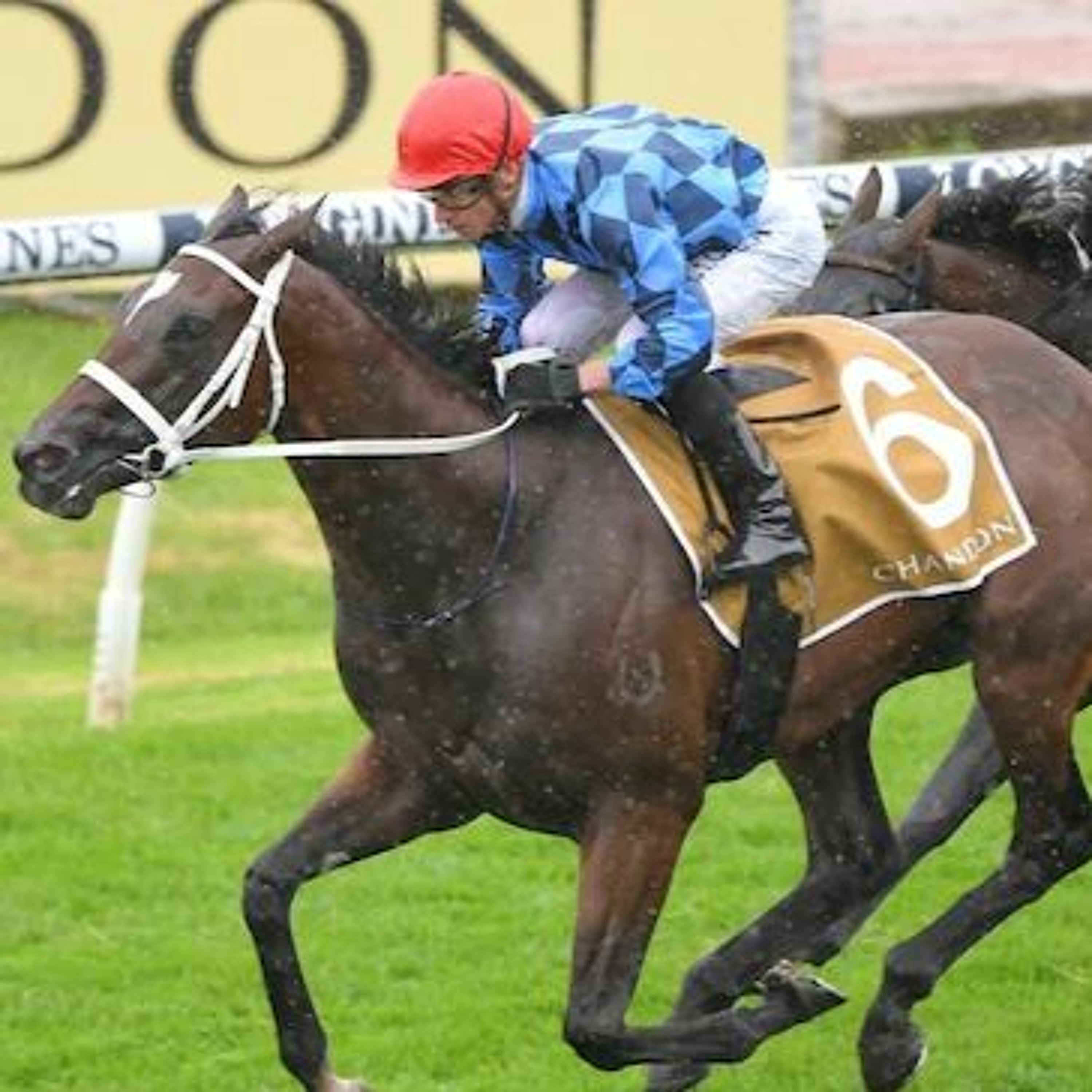 Tancred Stakes Day Punting Preview