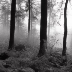 SCRATCH 2 (video link in description)