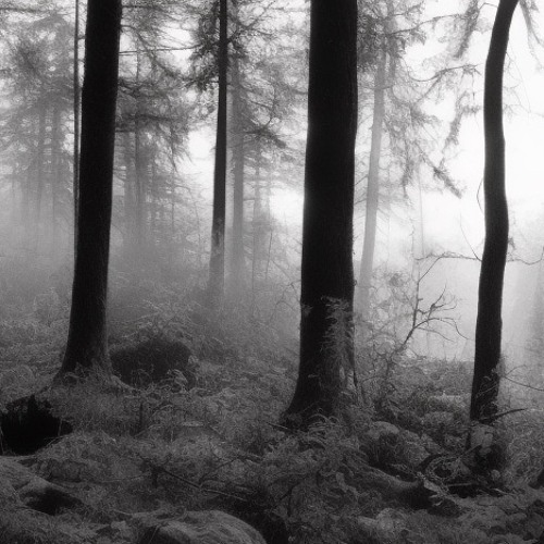 SCRATCH 2 (video link in description)