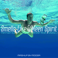 Smells Like Teen Spirit (Polymath MOOZA Mashup)