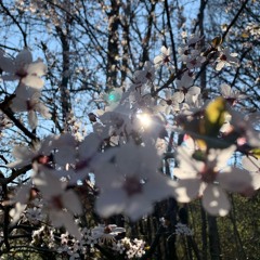 PanicZoná feat. Panic & Oxygen