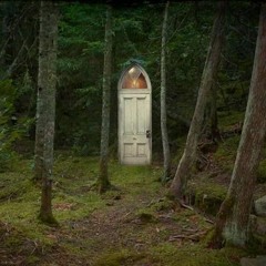 The Door In The Woods
