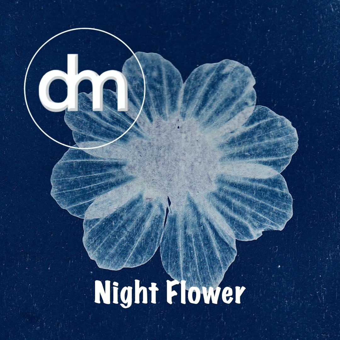 Daniel Matzinas - Night Flower (CC-BY)