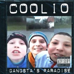 Nie potrzebujemy cię w naszym gangster'paradaise...