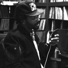 Terps | Alchemist x Boldy James Type Beat