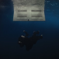 Billie Eilish - BIRDS OF A FEATHER (Cover by Seray)