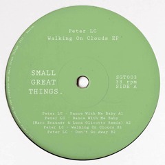 PREMIERE: Peter LC - Don't Go Away [Small Great Things]