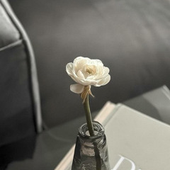 SOULMATE - KAHITNA  PARAS TERA.mp3