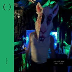 Ensemble Sounds_Ratcore