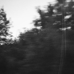 In:Fiction/cockroachee'z(1jiku remix)