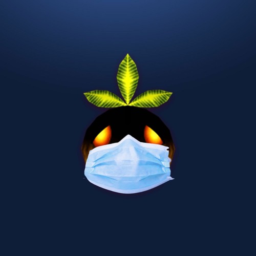 same places, different masks