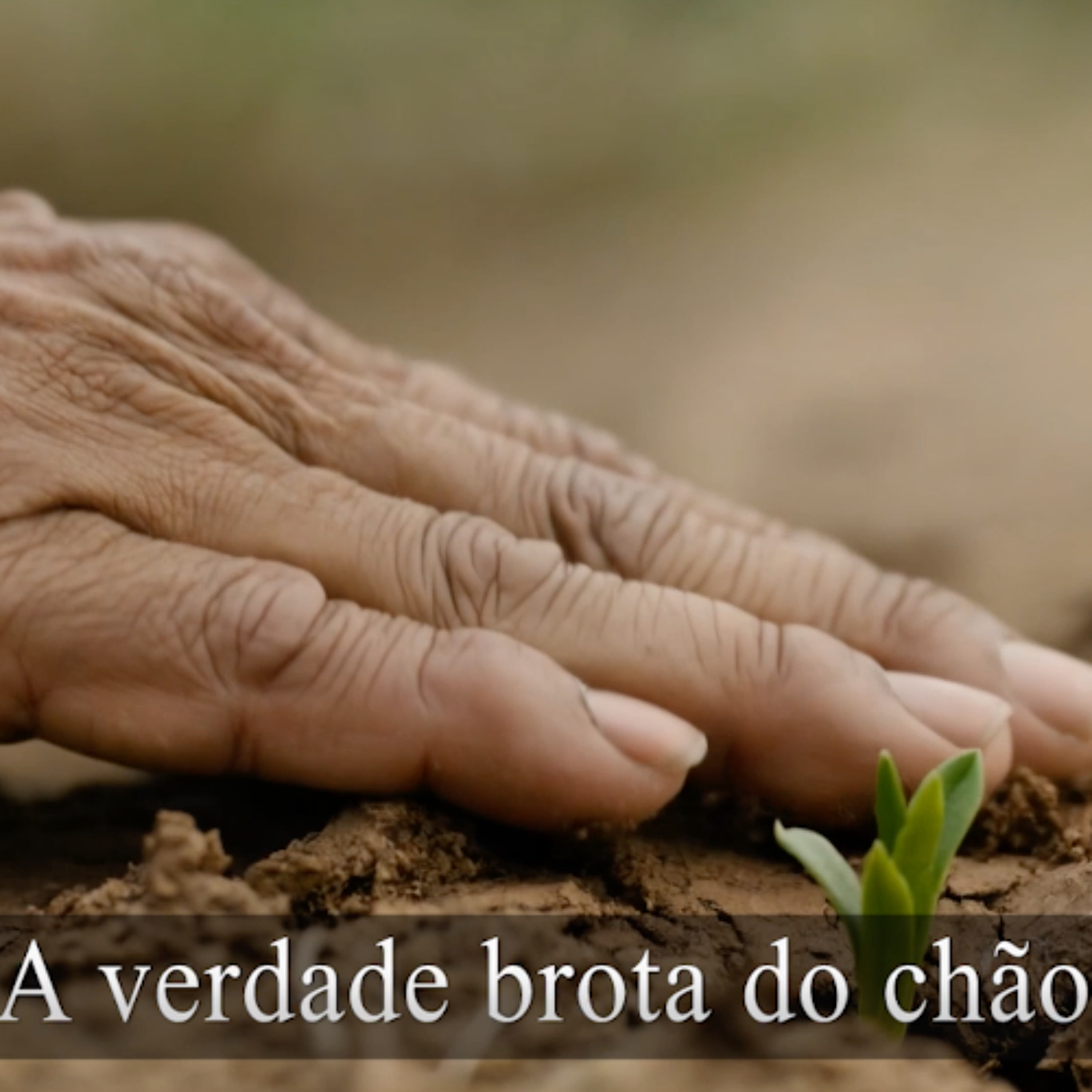 Canção da Terra e do Céu (Salmo 85) episode artwork