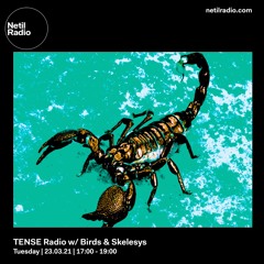 TENSE Radio w/ Birds & Skelesys 23/03/21