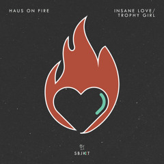 Insane Love